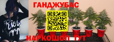 гашишное масло Моздок