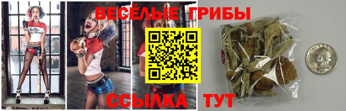 Псилоцибиновые грибы мицелий  Вход с VPN  Псилоцибиновые грибы мухоморы  Сызрань 